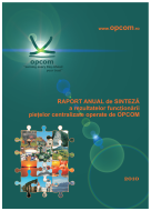Download Raport